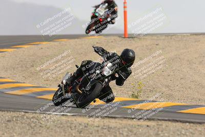 media/Mar-11-2023-SoCal Trackdays (Sat) [[bae20d96b2]]/Turn 12 (125pm)/